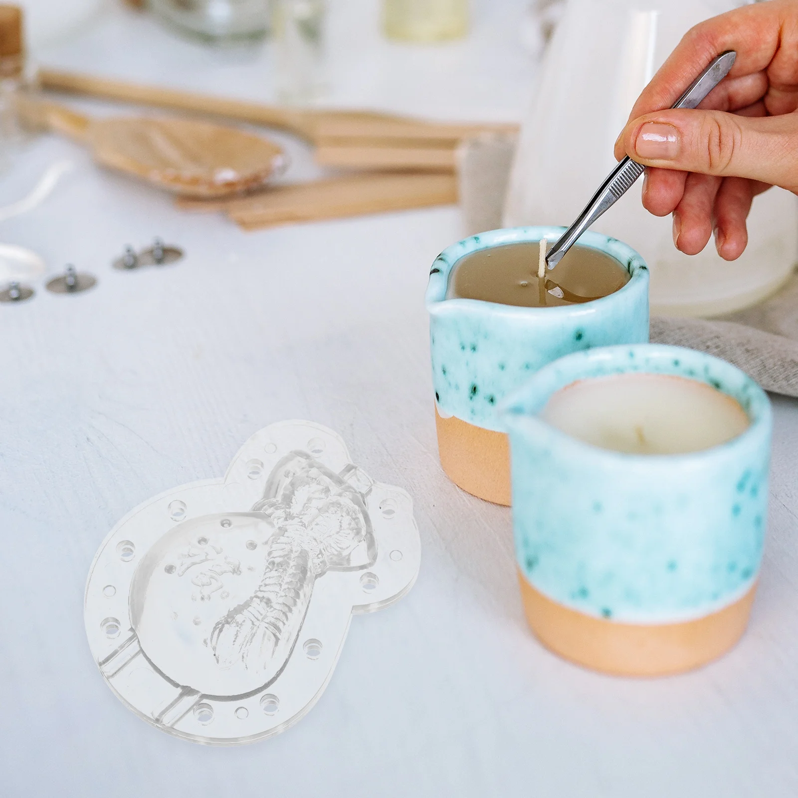 

Creative Fruit Growing Mold Transparent Plastic Melon Vegetable Shaping Mold Reusable Gardening Tool Multi-Function Gourd Shaper