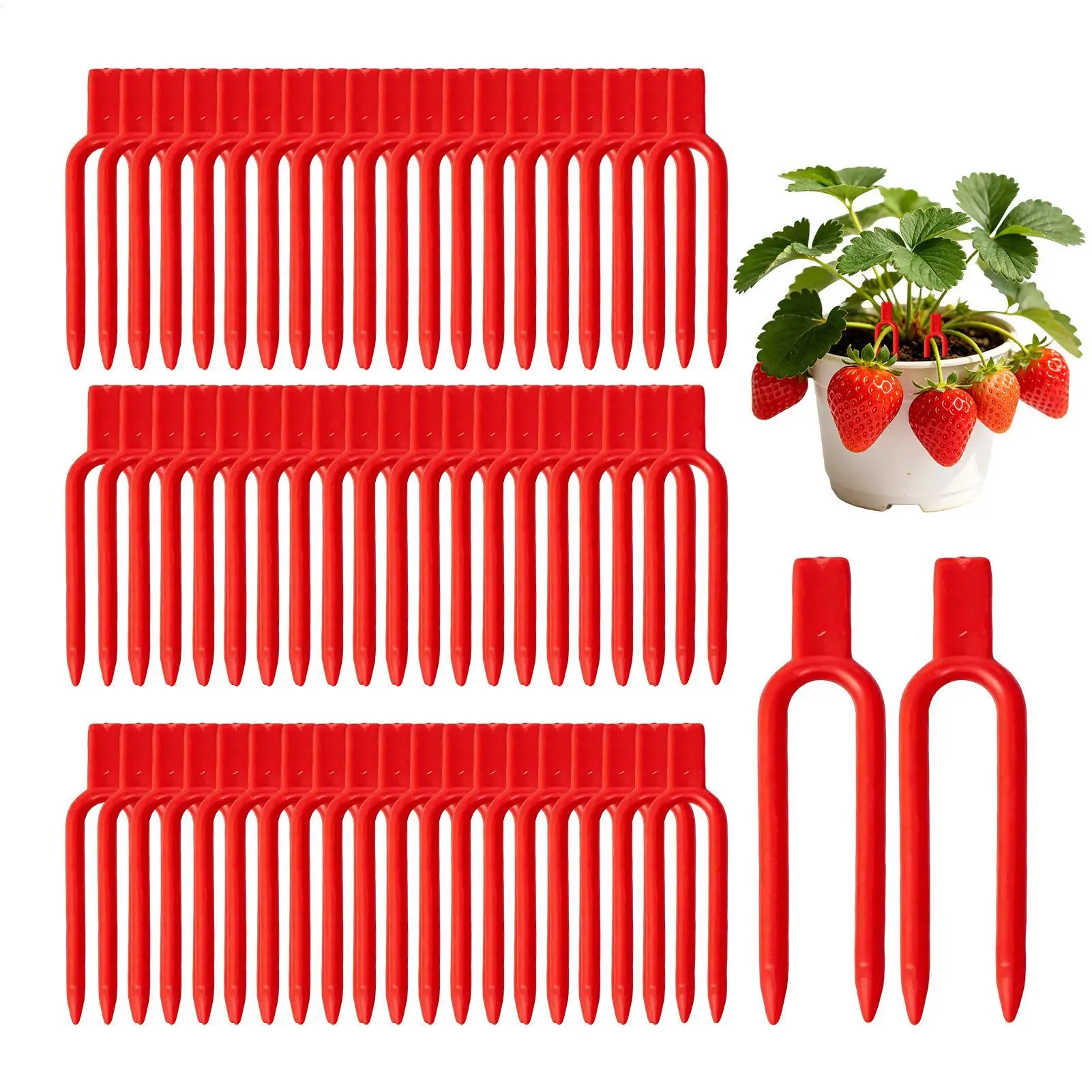 Planting Fork 100Pcs Vine Fixing Securing Tool Gardening Plant Pin for Strawberry Watermelon Orchard Vegetable Garden Lawn Farm