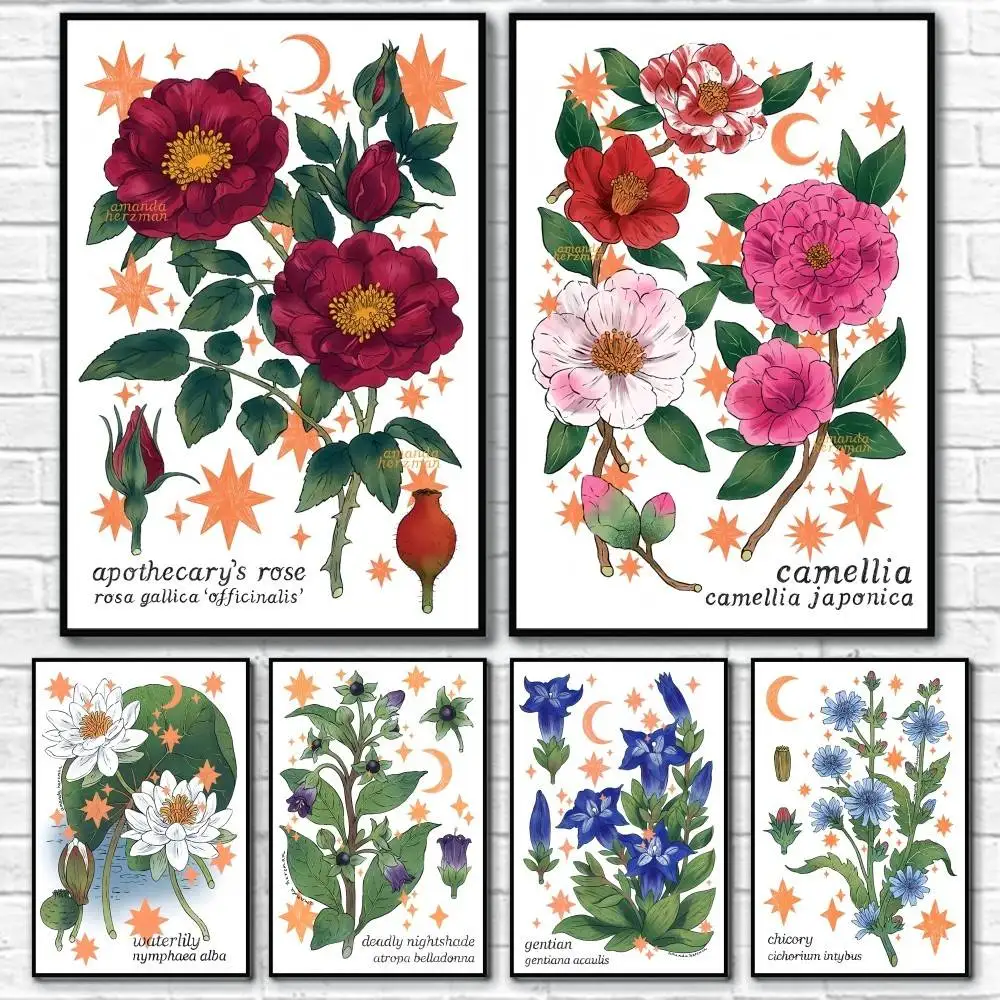 

B-Boho Botanical Plant Poster Home Living Bed Room Bar Hallway Sticky Wall Art Printing Waterproof Aesthetic Decor