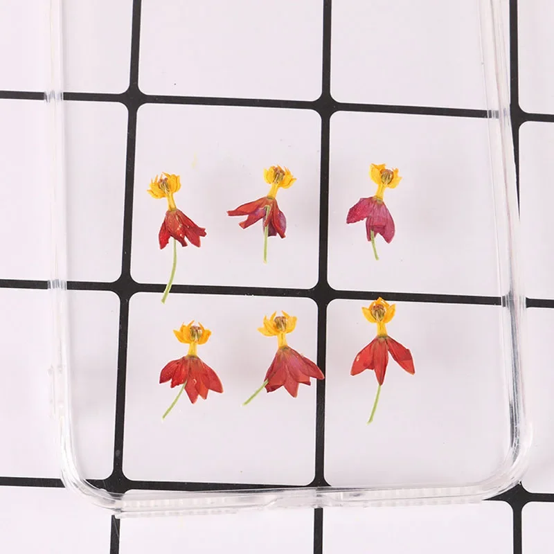 40Pcs,Pressed Real Flower Petals,Nature Dancing Flower, DIY Craft, Phone Bookmark, Gift Card,Flores, Jewelry, Facial Decor