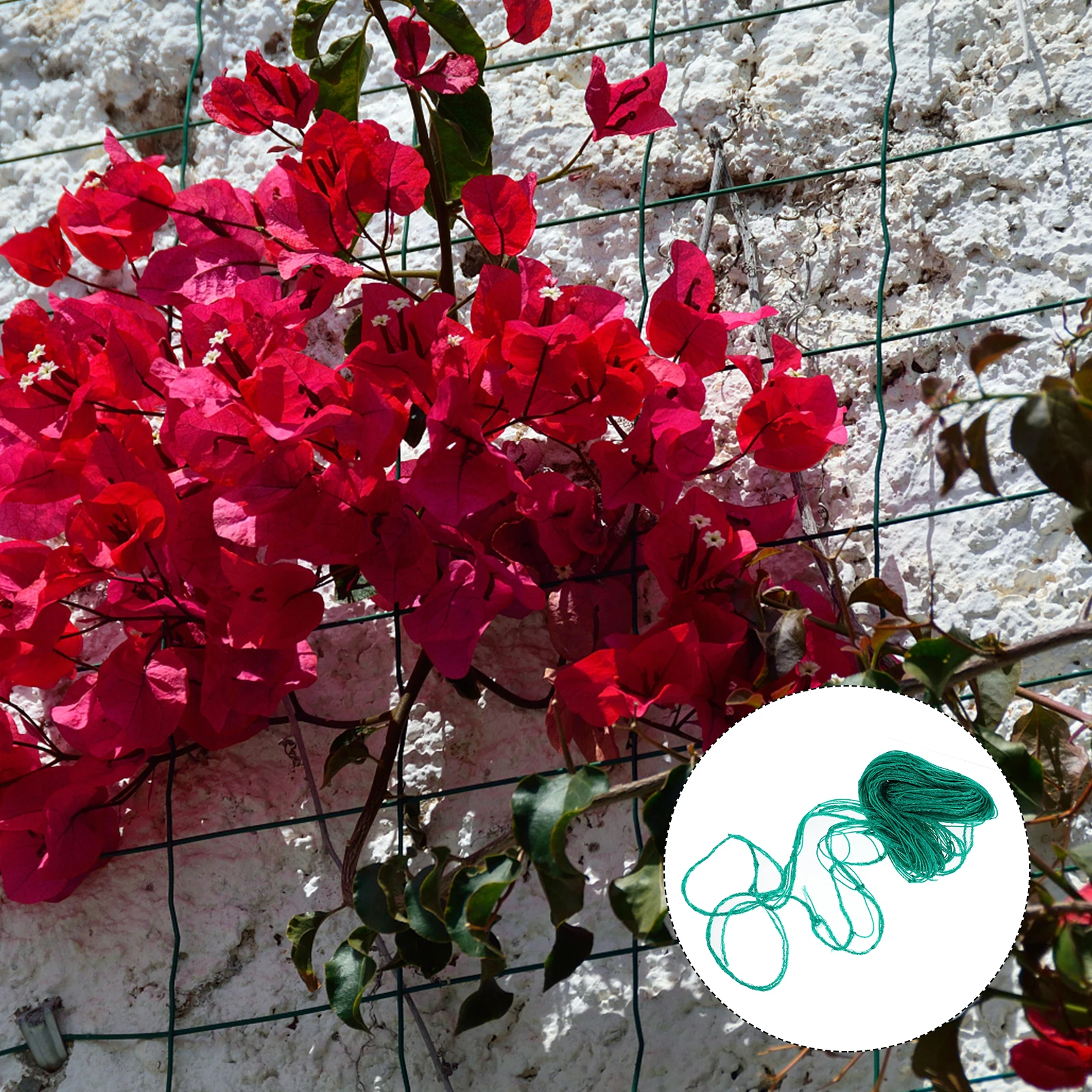 

Flexible Plant Climbing Net Garden Trellis Support Reusable Polyethylene Trellis Netting For Vine Plants Grapes Cucumbers