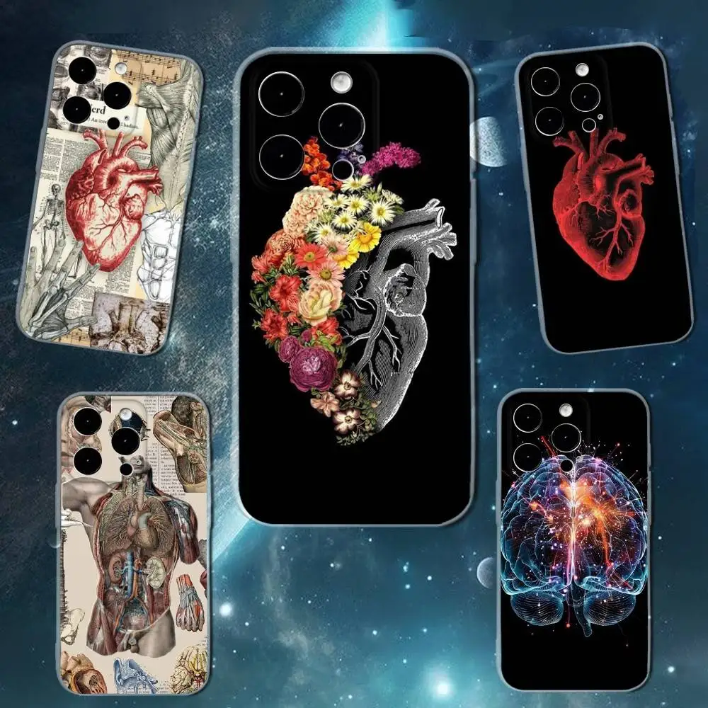 

Human Anatomy Medical Phone Case For iPhone 16,15,14,13,12,11 Plus,Pro,Max,XR,XS,X,7,8 SE,Mini Transparent Silicone Soft
