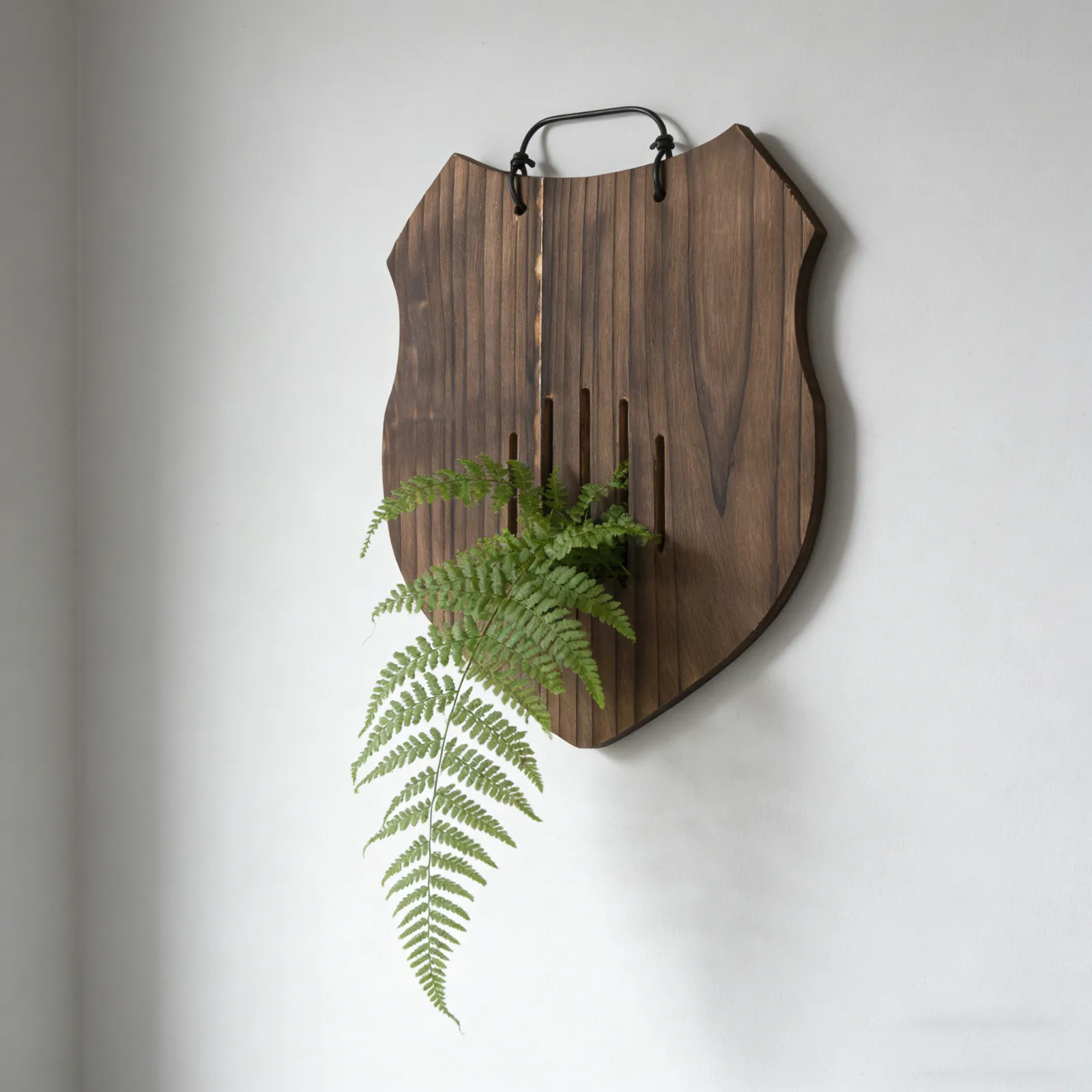 Soporte de Pared para Plantas Verticales, Forma de Escudo, Madera Sólida, para Plantas de Interior como Platycerium, Orquídeas, Helechos y Suculentas