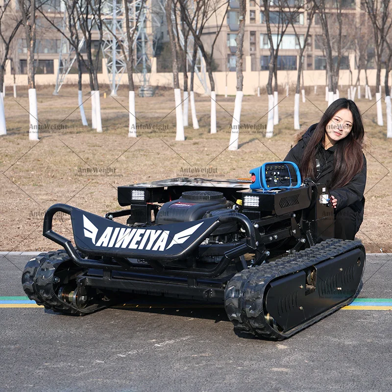 

Factory Direct Hot Sales High-Power Industrial Self-Propelled -Powered Lawn Mowers for Home Gearden