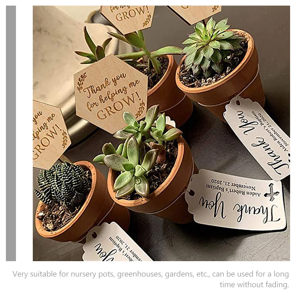 

40Pcs Wood Plant Tags Garden Markers Small Labels for Flowerpots Succulent Plants Nursery Landscaping Accessories