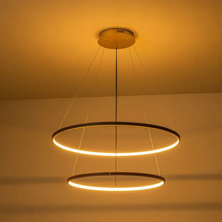 

Modern Decorative LED Ceiling Lights for Home Bedroom Living Room Aluminum Fixture Lamps Suspended Hot Selling Indoor