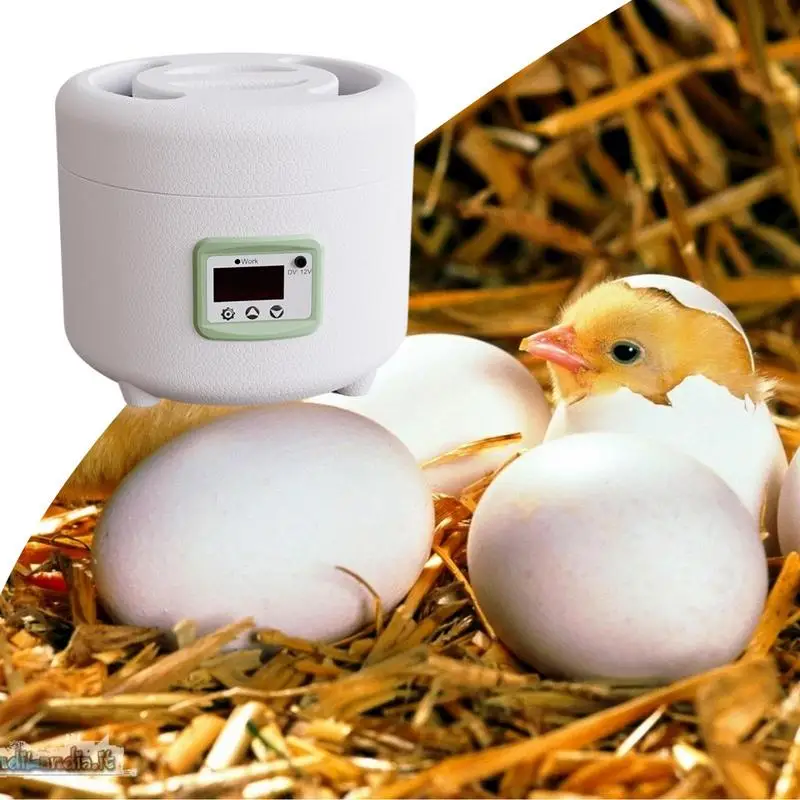 

Incubators for Hatching Eggs Automatic Egg Hatcher Adjustable Fully Automatic Breeding Machine Smart Incubator Egg Hatching