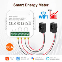 Tuya Smart Life WiFi Digital Energy Meter 80A with CT Clamp Sensor App Real-time Monitor Power Consumption 100V 240V 50/60Hz