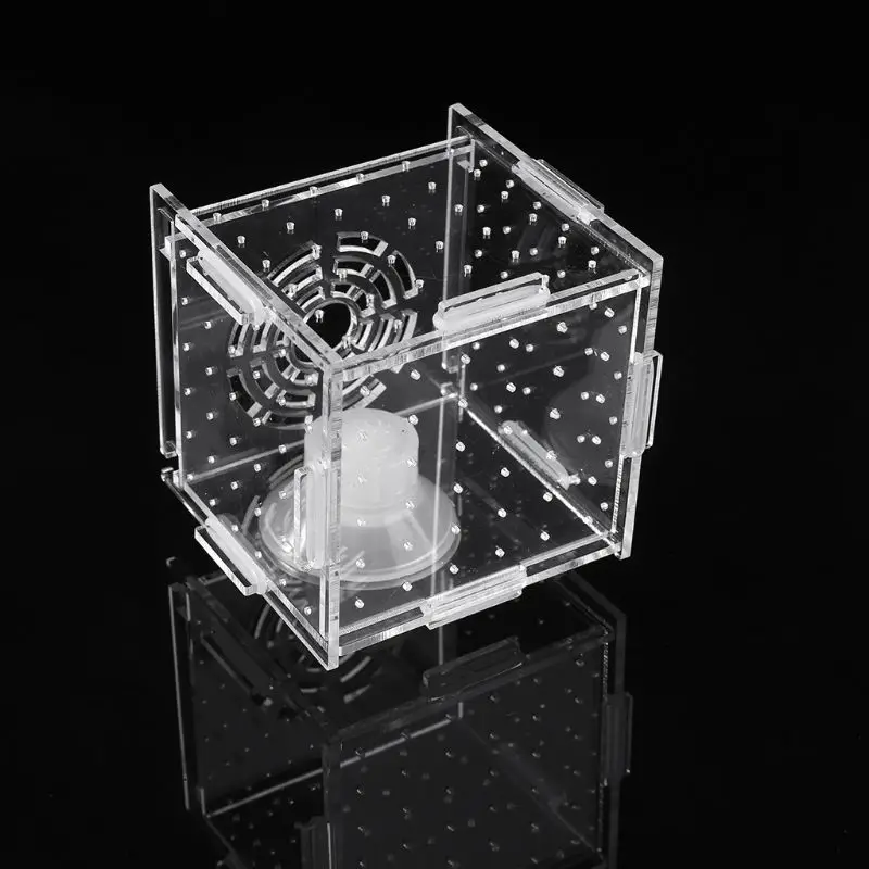 Fish Separation Breeder Box Acrylic Transparent Fish for Tank Breeding Isolation Boxes Aquarium Mini Hatchery Dropsale