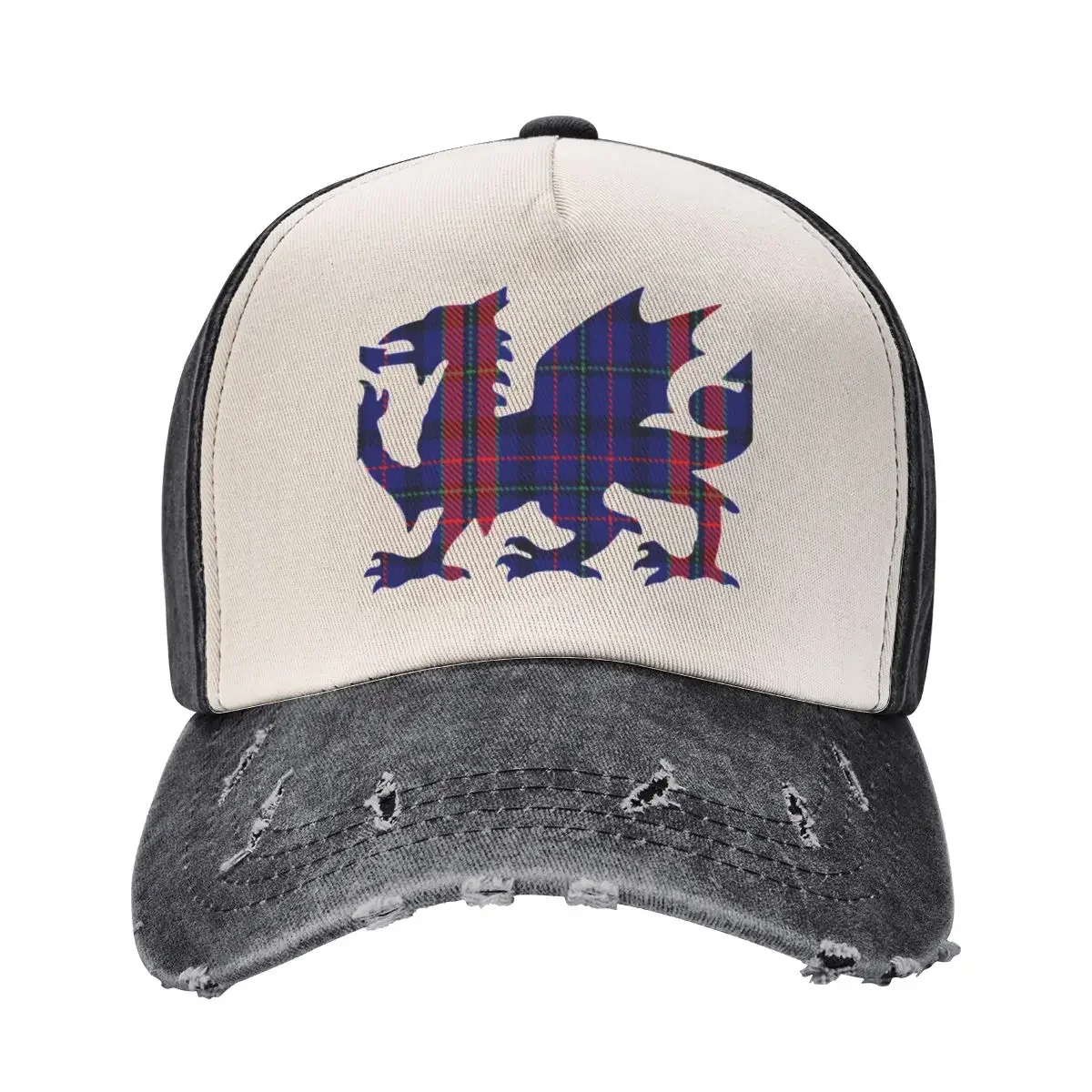 

Hughes/Pugh Family Welsh Dragon Tartan Baseball Cap Cosplay black funny hat Women Hats Men's