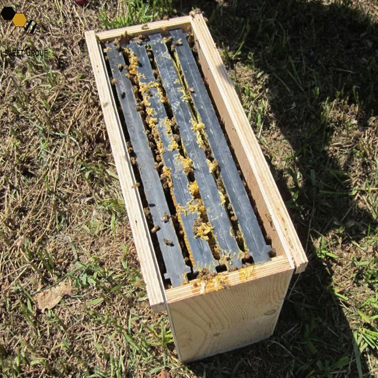 5-Frame Nuc Beehive For Bees Nuc Boxes Complete For Langstroth