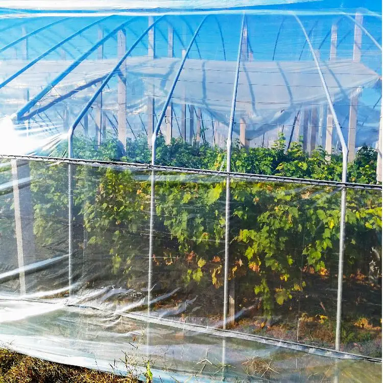 200 Micron PO Greenhouse Film UV Resistant Anti-Drip Wind Resistant Double Layer Agricultural Plastic Cover for Vegetable Shed