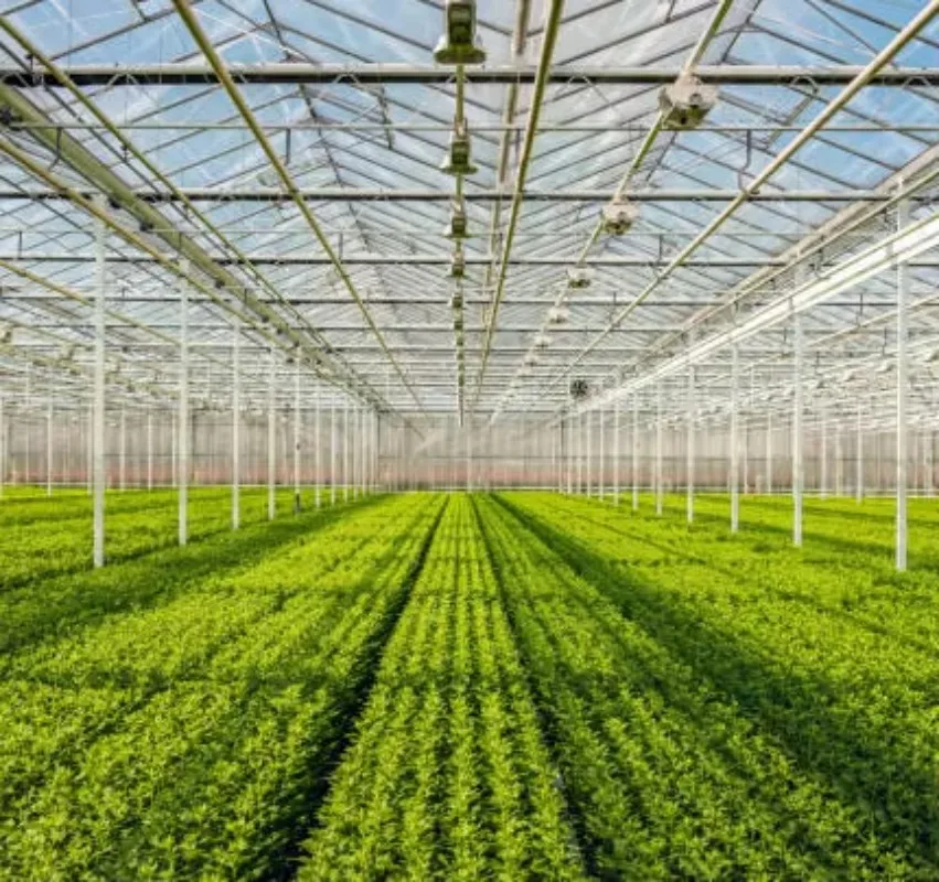 โรงเรือนเกษตรขนาดใหญ่พร้อมแผ่นพีซีสำหรับระบบไฮโดรโปนิกส์แบบหลายช่วง