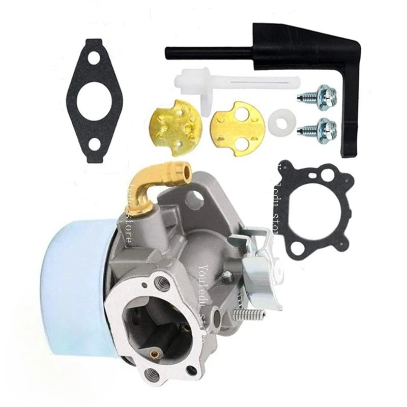 

Apply To Briggs & Stratton 798653 697354 790290 791077 698860 Carburetor