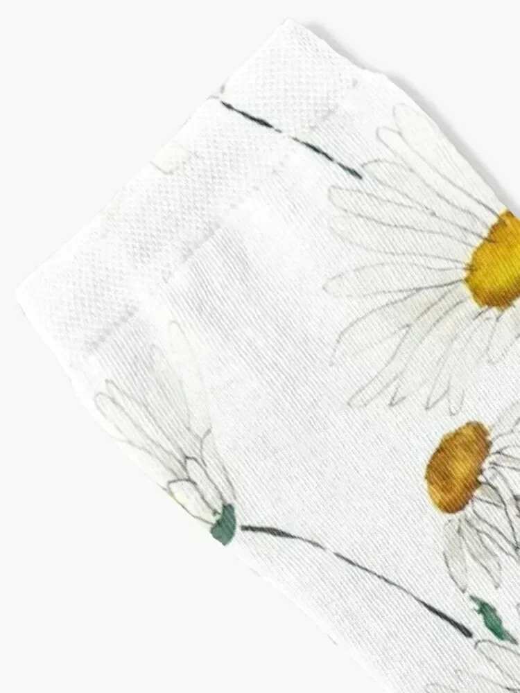 white Margaret daisy watercolor Socks essential funny gifts valentine gift ideas short Socks For Girls Men's