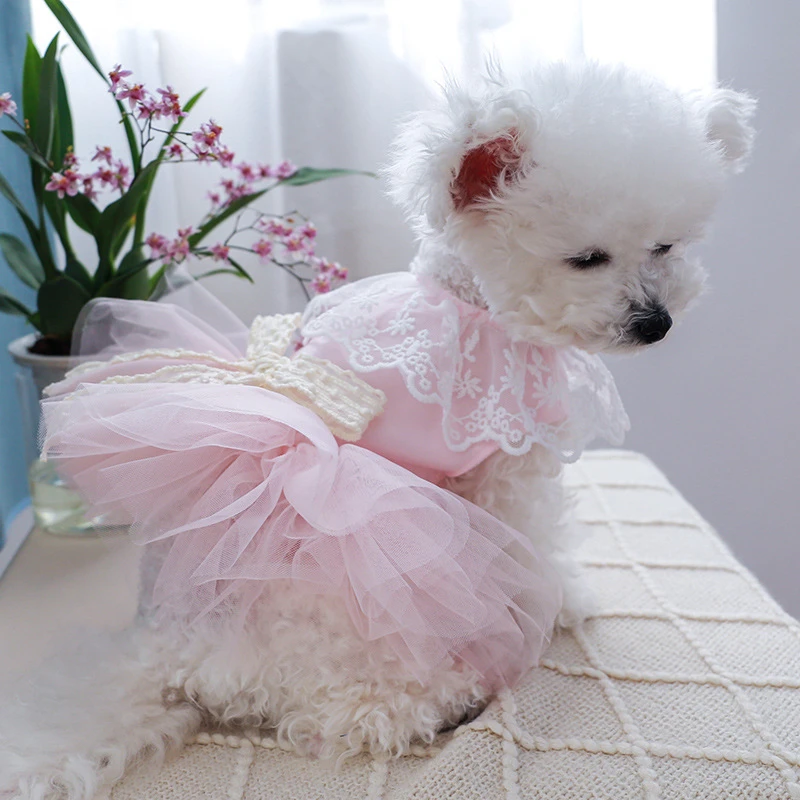 Lace Bow Tie Cat Dress for Small Dogs Princess Pink Veil Tutu Skirt Puppy Summer Clothes Birthday Wedding Female Pet Clothing