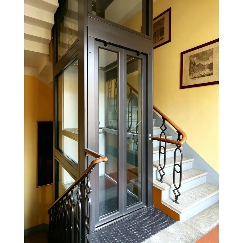 Home Elevator Lift 2-3 Floor Family Indoor Small Simple Hydraulic Lift Self-built House Villa Loft LOFT Elevator
