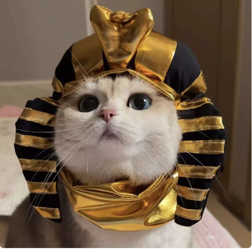 Cat Dog Cosplay Hat Halloween Egyptian Pharaoh Pet Halloween Costume Puppy Fun Coat Holiday Accessories Halloween Decoration