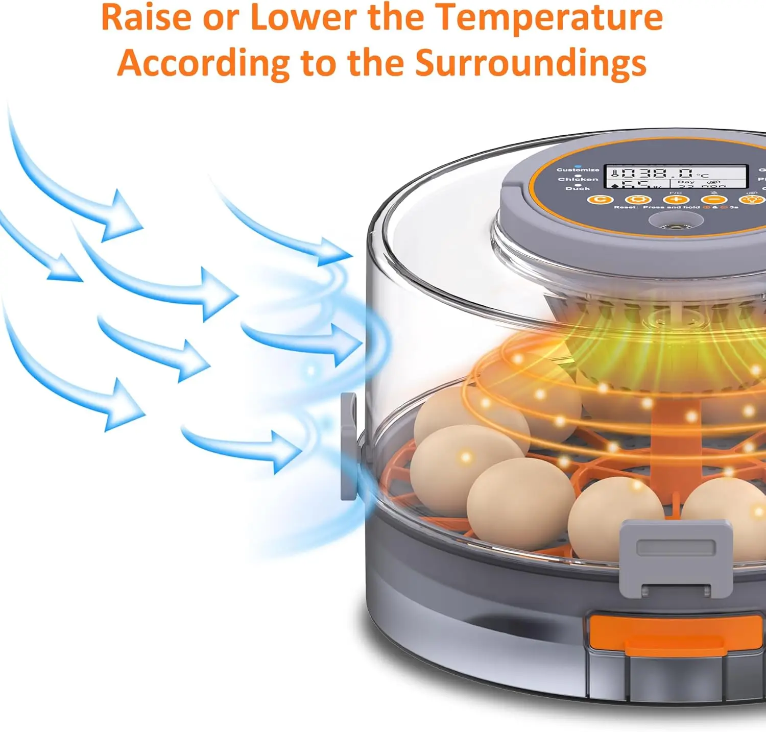 حاضنة أوتوماتيكية للحيوانات الأليفة، حاضنة 12 بيضة، مزودة بضوء البيض، مناسبة للحيوانات الصغيرة والدواجن والطيور وما إلى ذلك