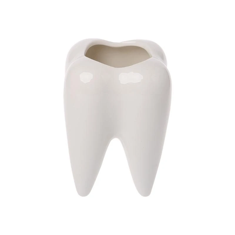 

Форма зуба Керамический цветочный горшок Зеленый сочный плантатор Кактус Контейнер Декор