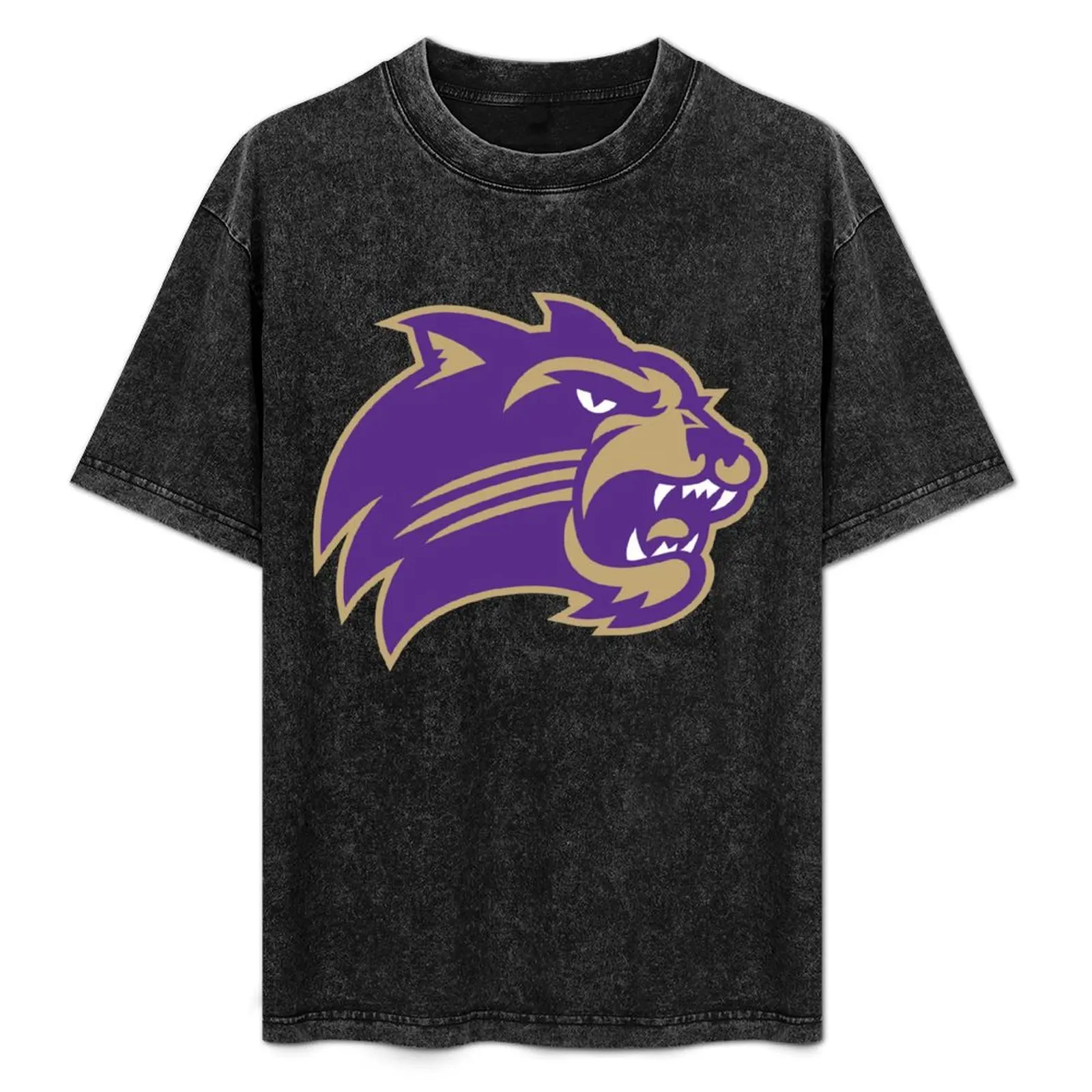 The Western Carolina Iconic T-Shirt Work Wear Simple Tee Shirt