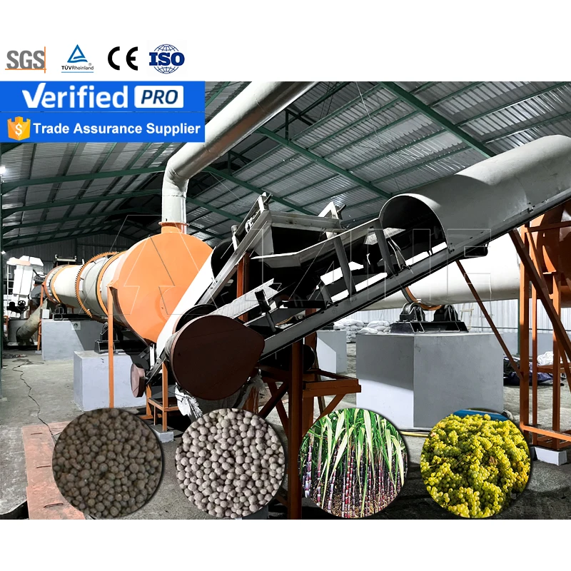 LANE Sugar Residue Rice Husk Palm Rubber And Banana Waste Organic Fertiliser Making Machine Organic Production Line