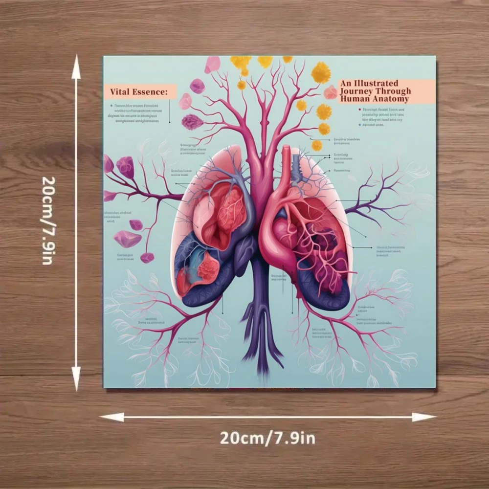 An Illustrated Journey Through Human Anatomy Stress Relief Coloring Handbook Graffiti Painting Drawing Art Book for Elder