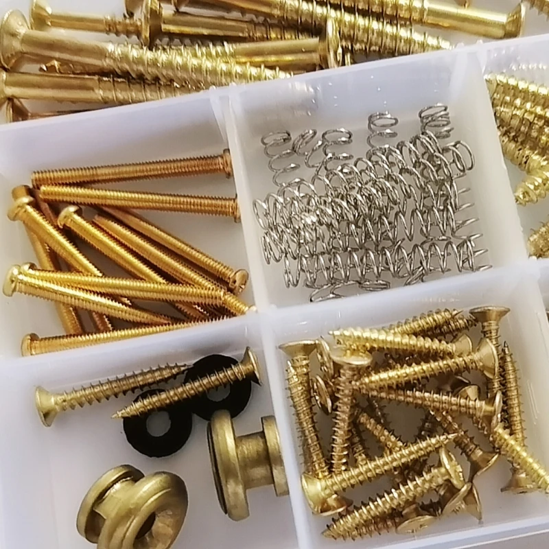 258 Pieces Guitar Screw Kit - 9 Types, Guitar Screws Assortment Set with Springs for Electric Guitar Switch, Neck Plate