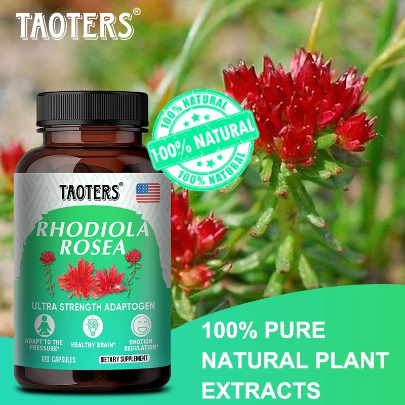 100% 천연 식물 Rhodiola Rosea 캡슐 보충제, 슈퍼 적응원, 스트레스 해소, 건강한 두뇌 및 기분 조절