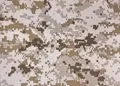 A1