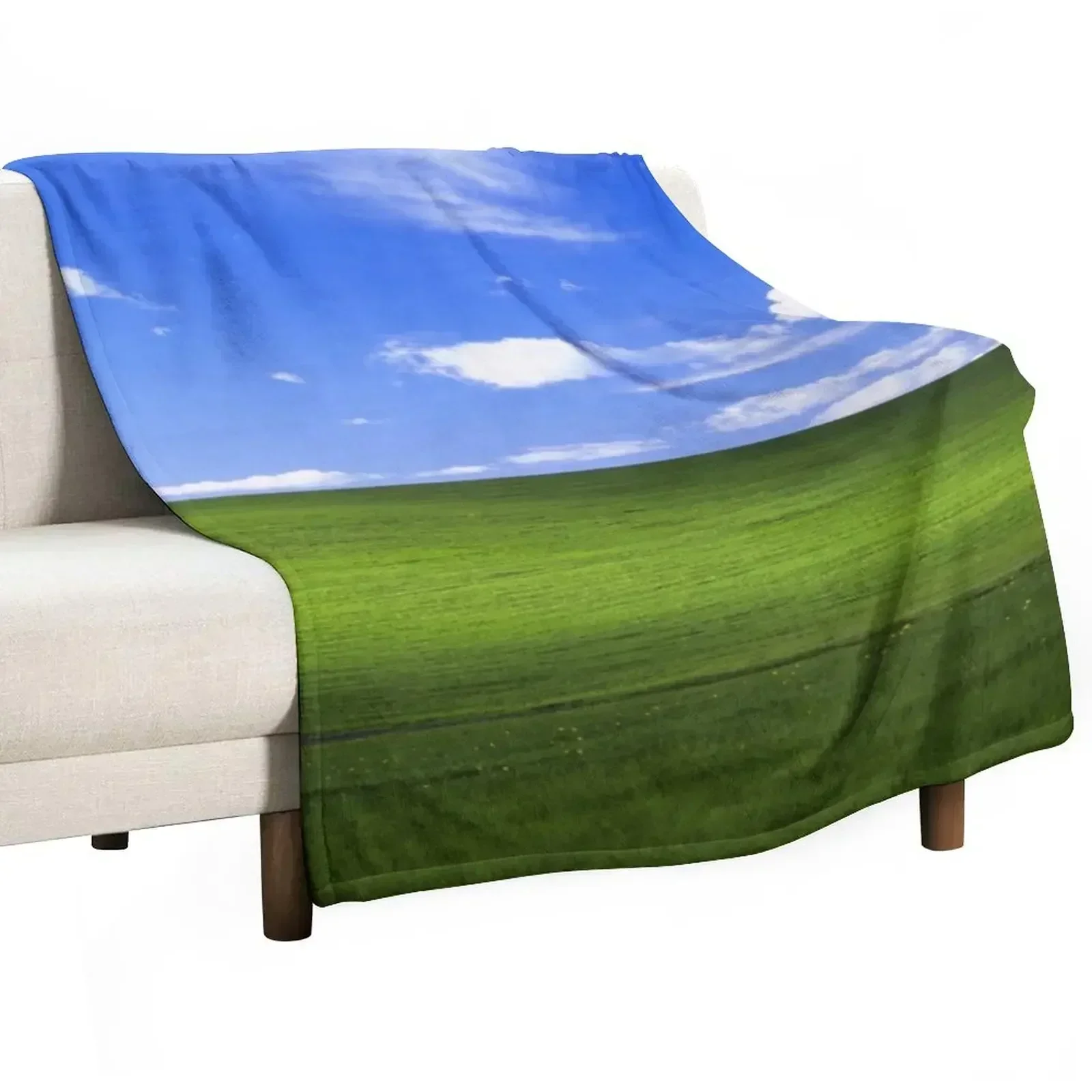 Blissful Field Throw Blanket Thins Soft Beds Shaggy Sofa Throw Luxury Designer Moving Blankets