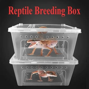 6 최고의 판매 뱀 테라리움 - №6