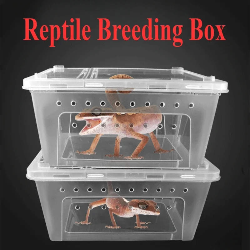 Reptile Breeding Feeding Box Transparent Insect Rearing Hatching Containers Habitat Cage for Spider Lizard Turtle Snake Frog