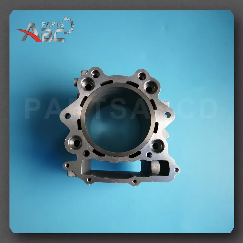 【Direct Fit Daria】 Cylinder Kits Set with Piston Ring Pin Piston Set Clips and Gaskets for HS700 Hisun 700CC ATV Quad