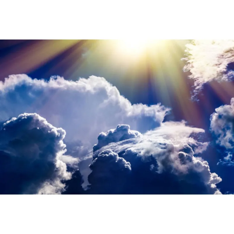 

Tiy Car LED Rear Third Stop Lights Rear Additional Brake Light For Chrysler Sebring 2007 2008 2009 2010 5113614AA