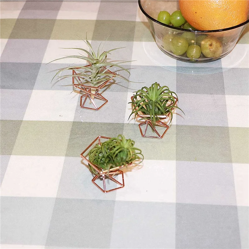 AT05-Pack 10 حامل نباتات هوائية حامل نباتات الهواء Tillandsias عرض حاوية نباتية لتنقية الهواء حامل السرخس الهوائي، ذهبي وردي