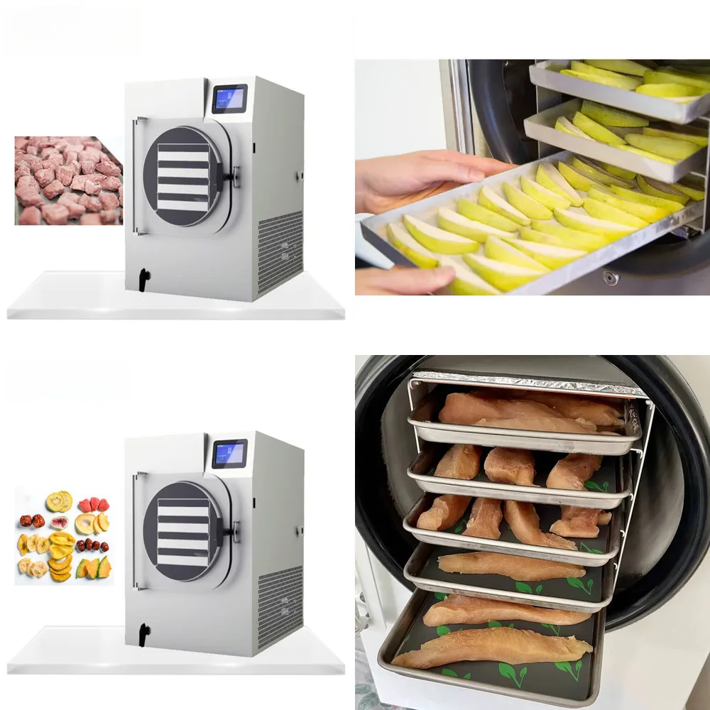 

Vacuum Drying Lyophilizer Condensation High Hine Commercial Quality Price Sublimation Freeze Dryer