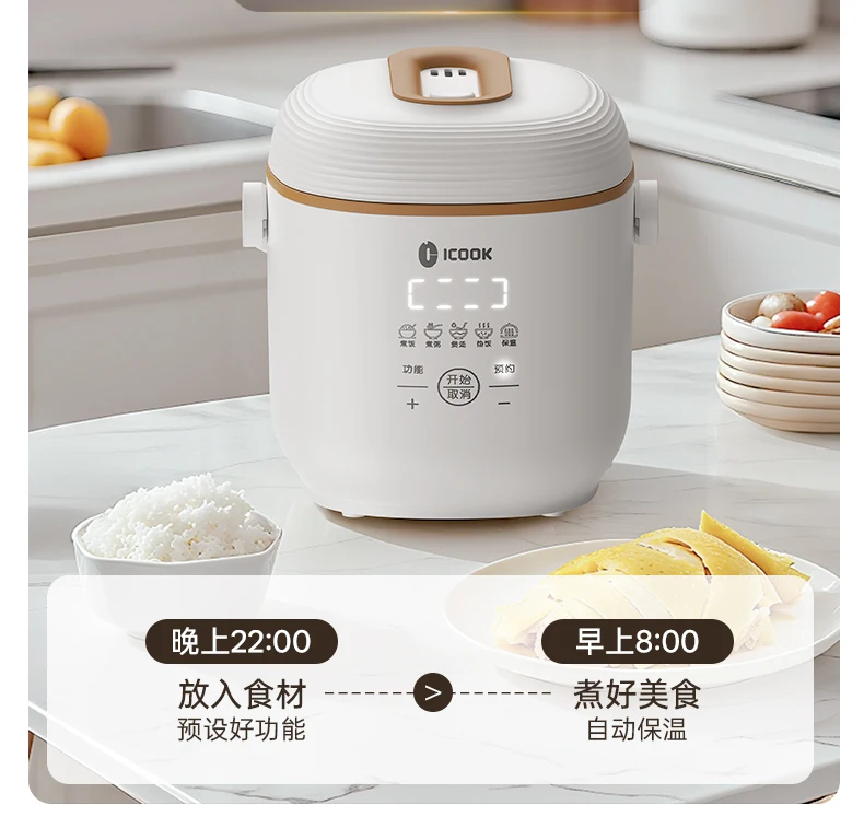 Mini Rice Cooker 1 …