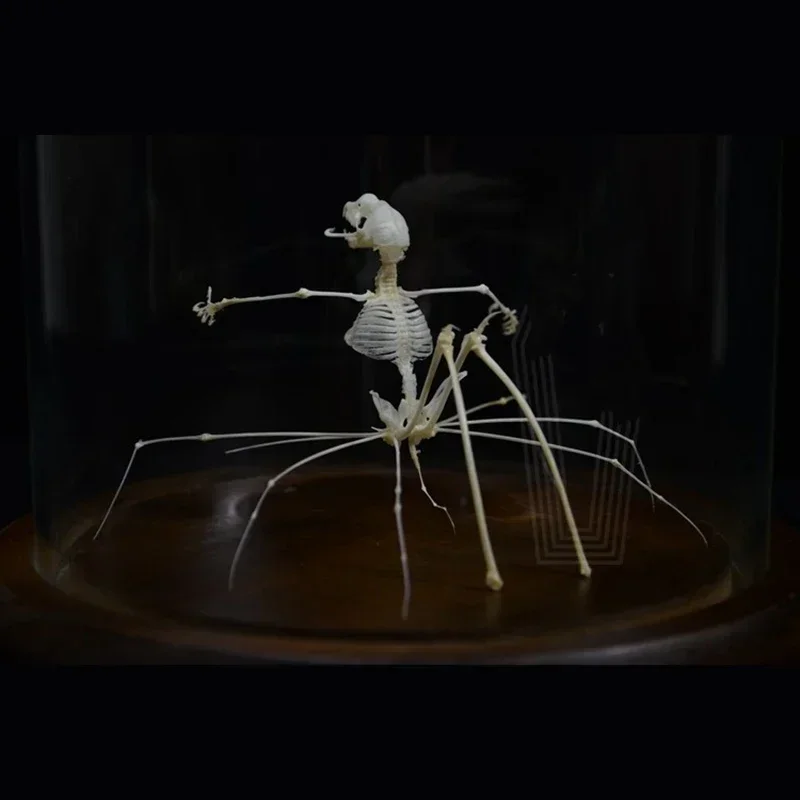 2023 Boutique Gothic Style Artificial Spider Queen Skeleton Statue Resin Bone Replica Fantasy Monster Ornament Unique Handmade