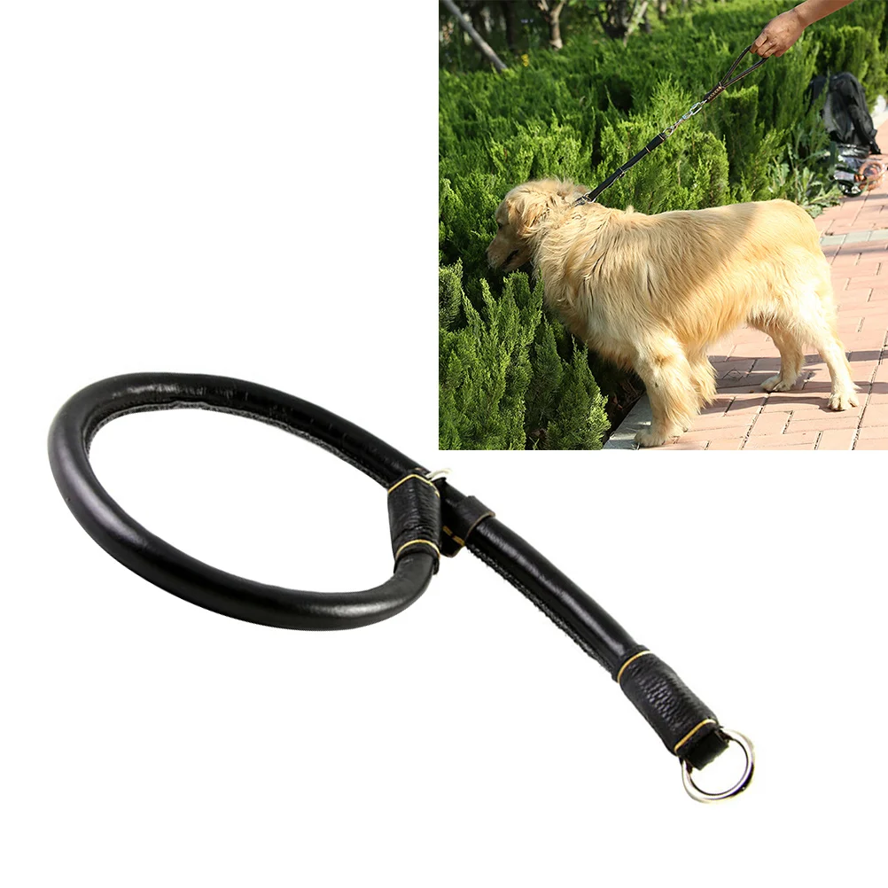 

Medium Large Dog Leash P Chain Pet Collar Adjustable Durable Soft Padding Comfortable Daily Walking Training
