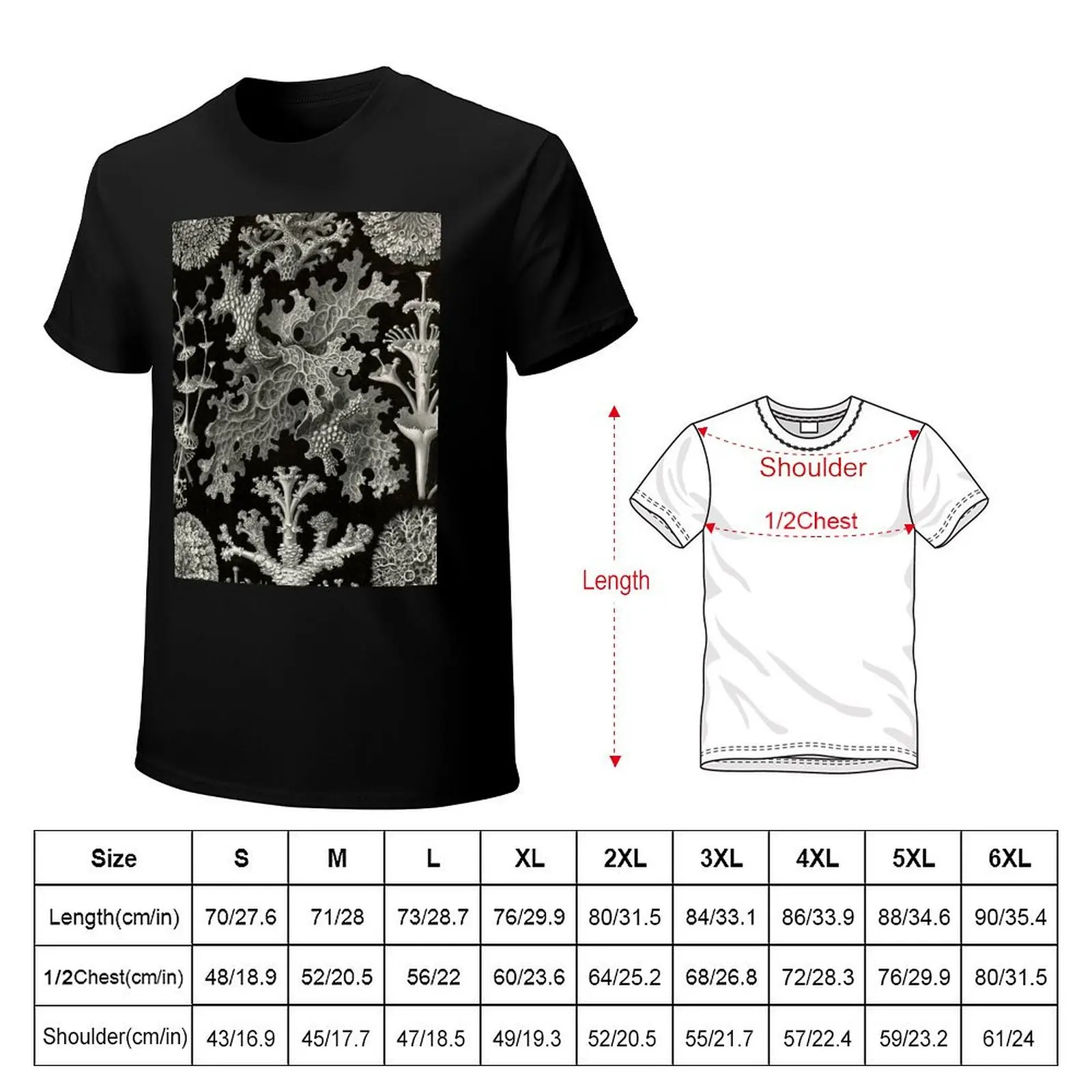 Lichenes (Thallophytes - Lichens) - Ernst Haeckel T-Shirt Plus Size Solid Color T-Shirt