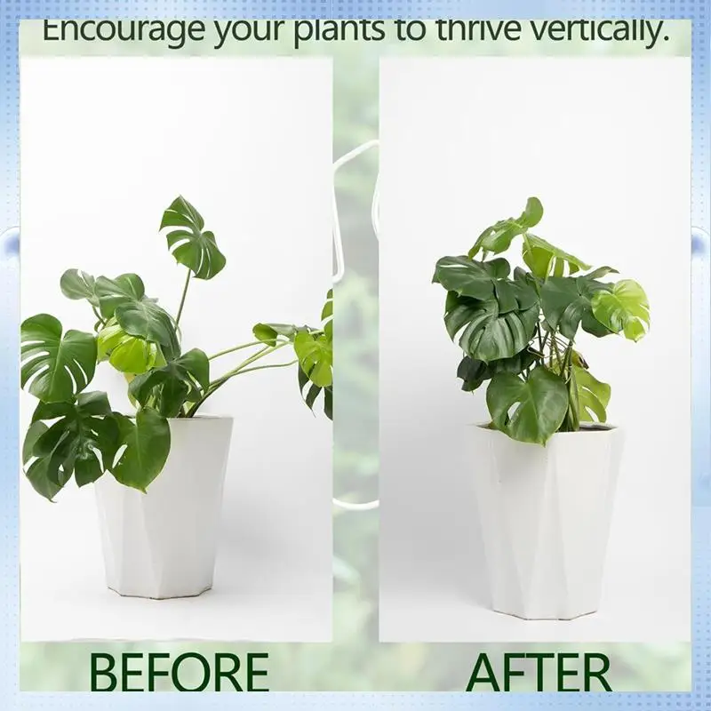 AD-Monstera Stem Support 5Pcs Plant Support System For Monstera & Turtle Shell Plants-Quality Leaf Clamps