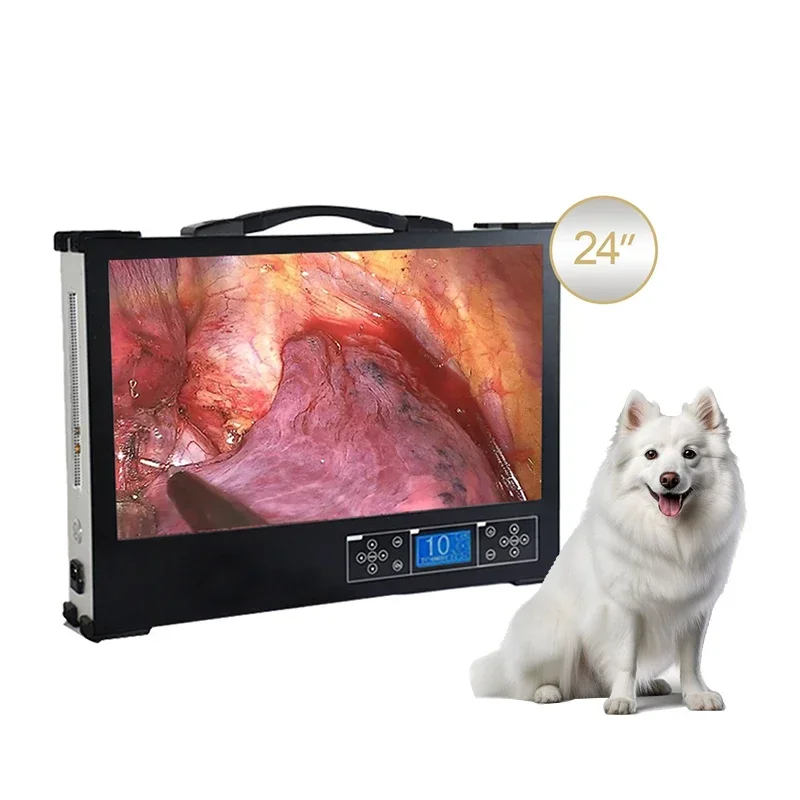 OEM/ODM 24 Inch Full HD Integrated Veterinary Endos-cope Ca-mera For Dog Surgery And Pet Diagnosis Veterinary Instruments