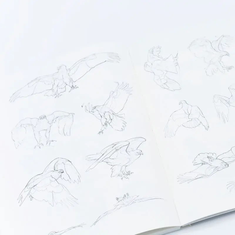Making It Easy To Master Animal Drawing Skills Quick Sketch Map of Various Animal States, with Over 1000 Illustrations