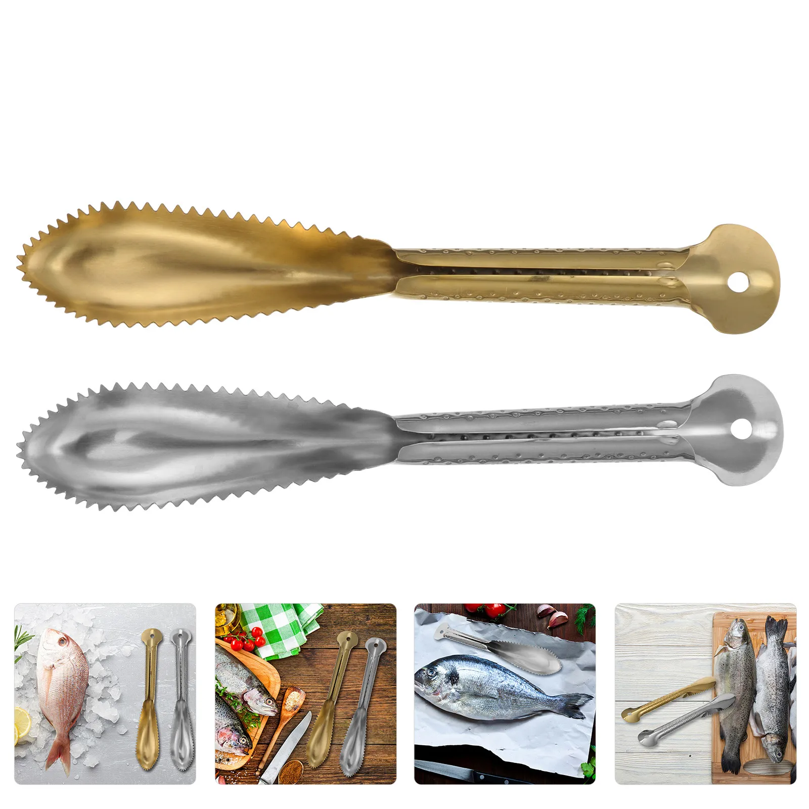 

2Pcs Fish Scaler Stainless Steel Ergonomic Handle Non-Slip Wall-Hanging Kitchen Gadget for Scale Removal Home