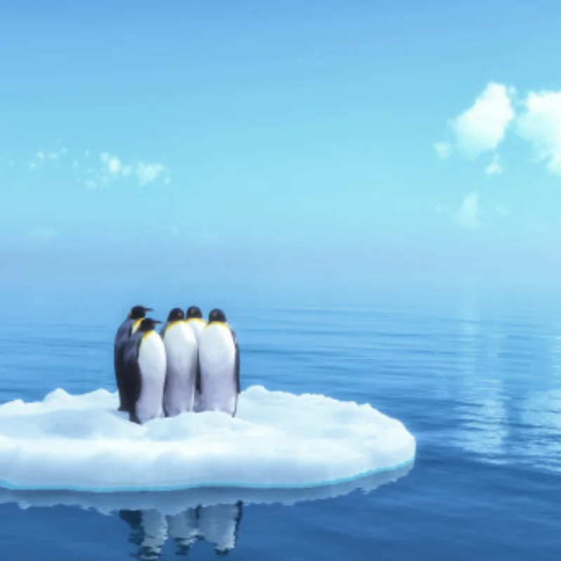 메탈 스틸 기어 디지털 서보 75KG 브러시리스 서보 방수 RC카 크롤러 1/8 1/10 SCX10 TRX4 트럭 로봇 업그레이드 부품