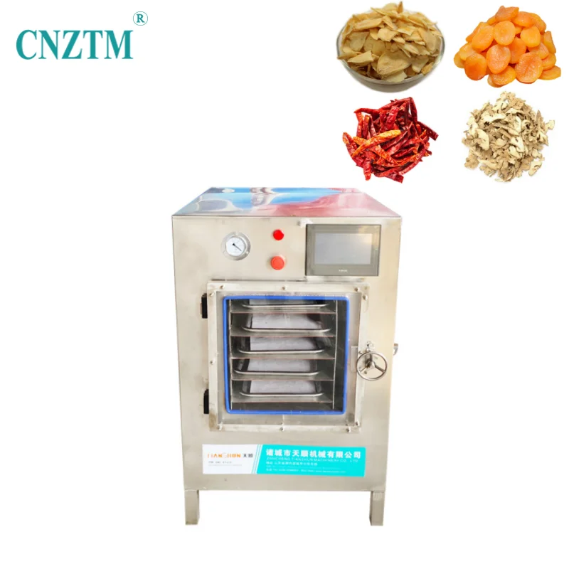 Vacuum Candy Blueberry Powder Freeze Dried Lyophilizer Gold Supplier Instant Noodles Coffee Flower Home Freeze Dryer Vacuum