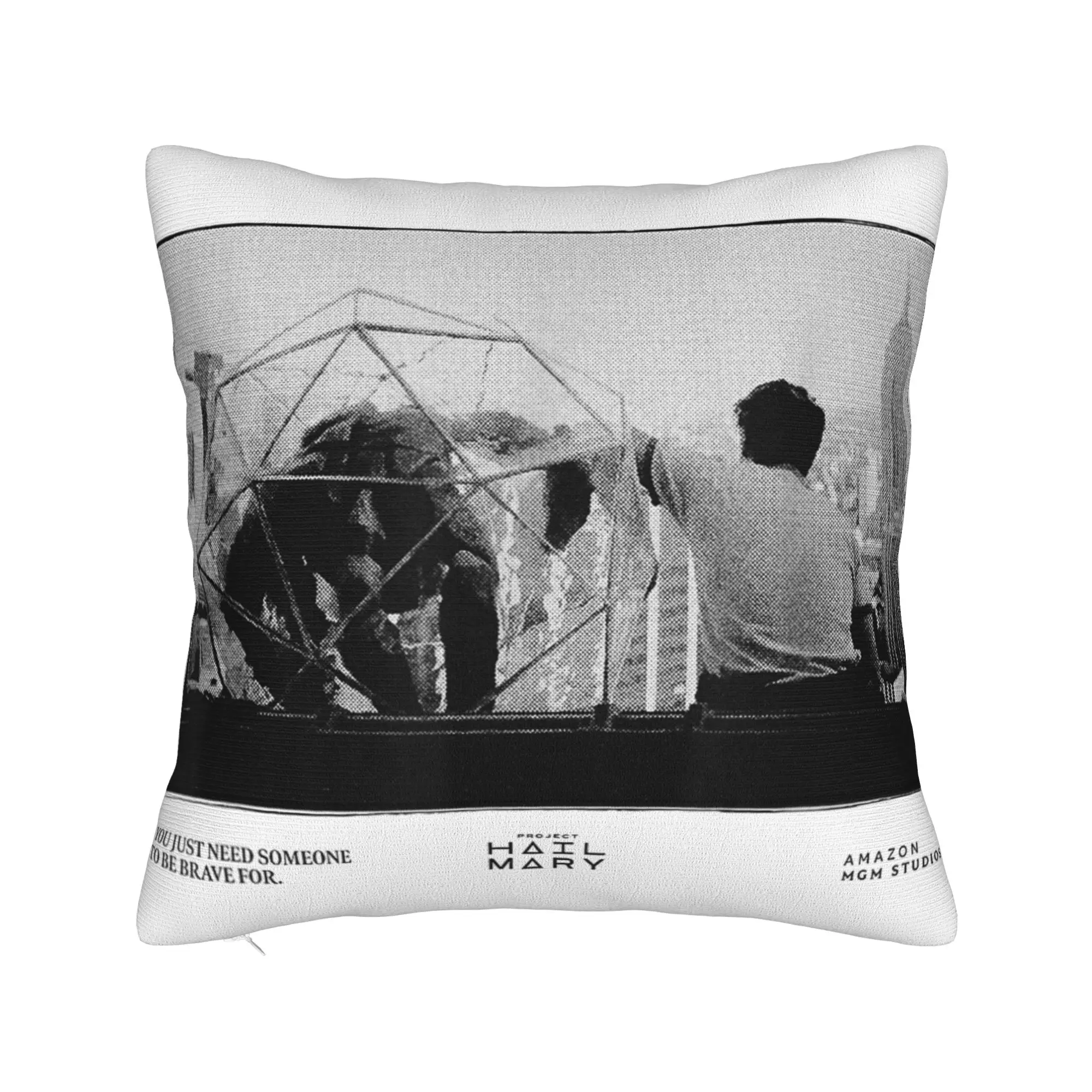You Just Need Someone Project Hail Mary Pillow Cover  Soft Cushion Cover Fashion Pillow Case For Sofa Bedroom Home Decor