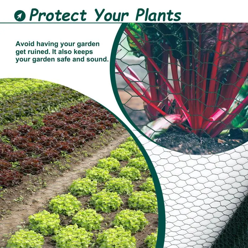 سلك دجاج أخضر كبير على شكل مسدس من Galv بطول 60 مترًا، شبكة دواجن مقاومة للصدأ للحديقة وسياج حظيرة كبير #4