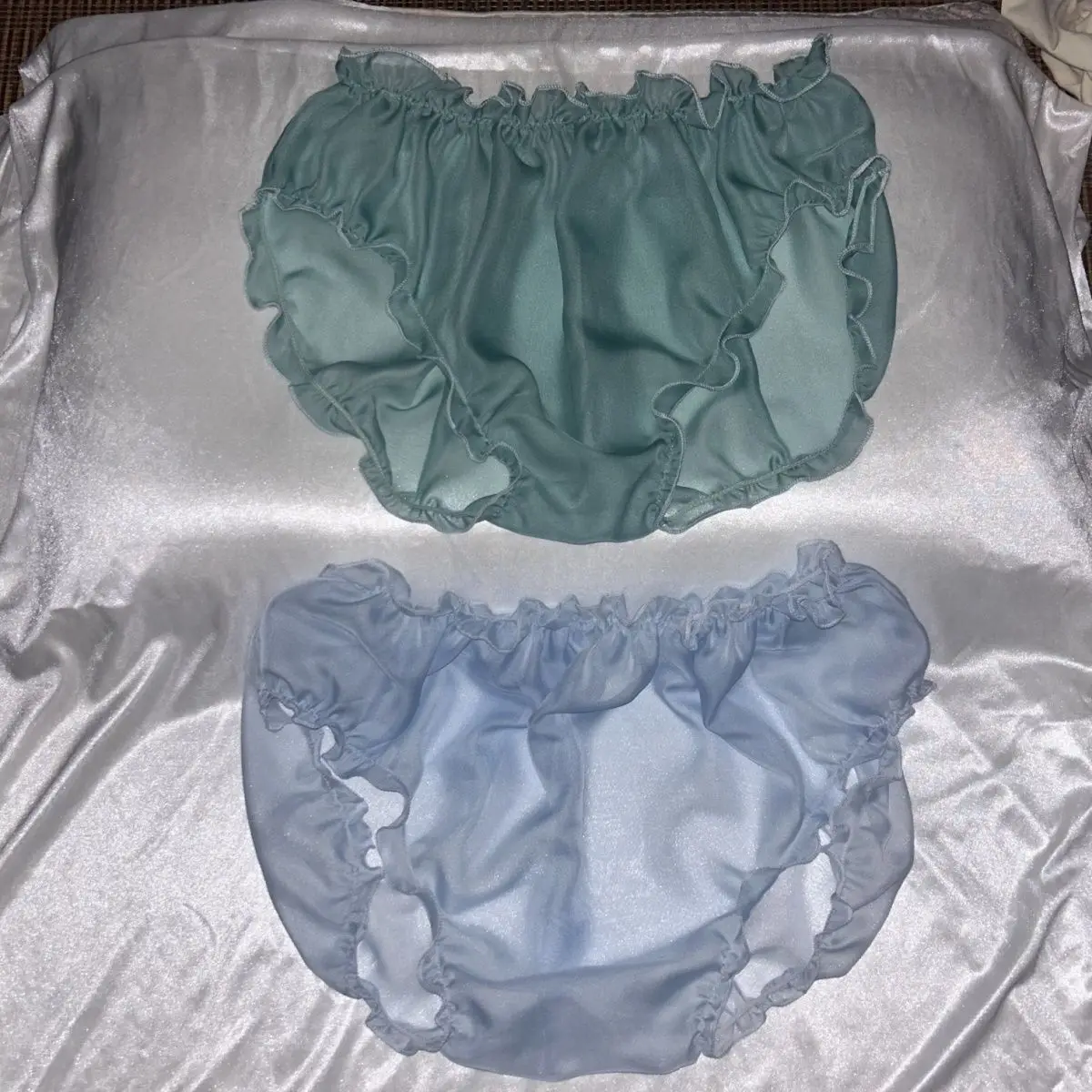 

2pcs Glossy Sexy See Through Mesh Underwears Panties Plus Size Briefs Lingeries Bottoms